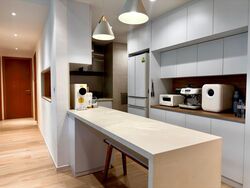 Oasis Garden (D19), Condominium #599660901